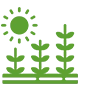 Biostimulant  Products