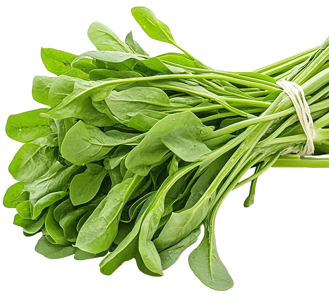 find crop stimulant online